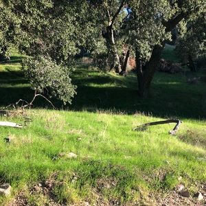 Meet your Posher, Stef